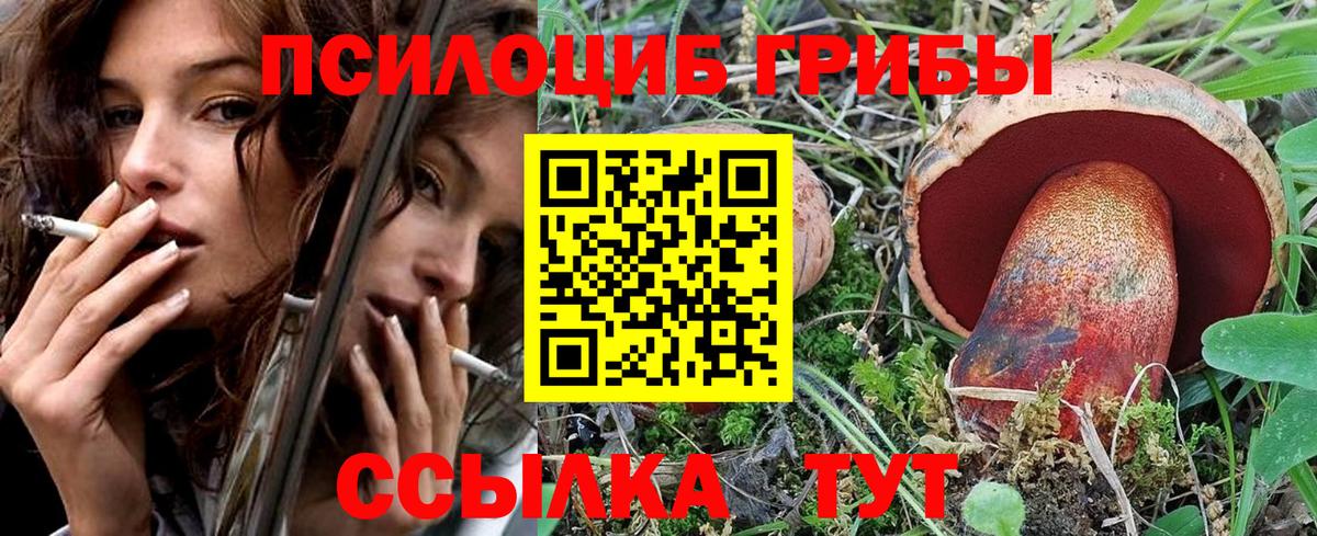 Знаменск  Галлюциногенные грибы мицелий  Вход с VPN 